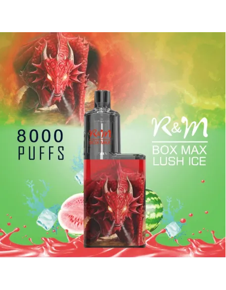 Original R&M BOX MAX 8000 Puffs Mesh Coil Vape Rechargeable Device (Free Shipping)